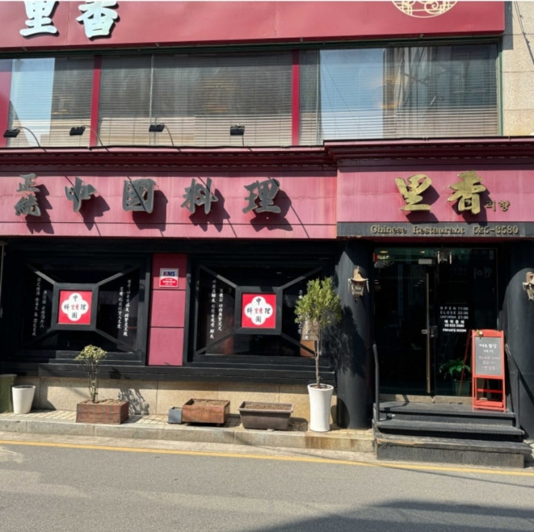 리향2 이미지