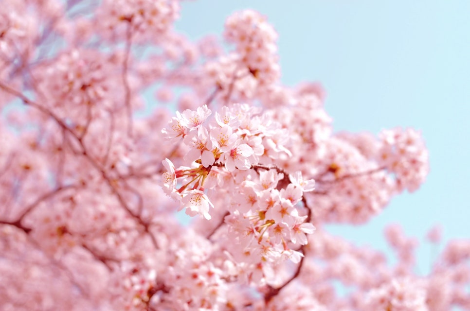 레인아트 이미지