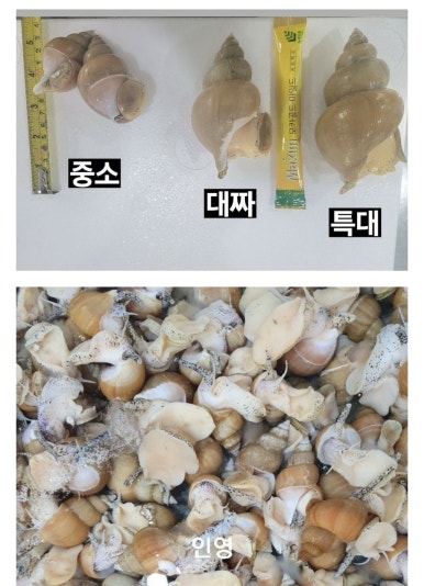 인영수산 이미지