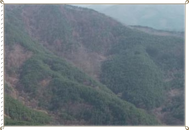 사일산 이미지