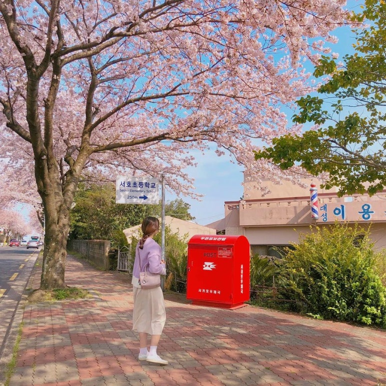 대성이용원 이미지