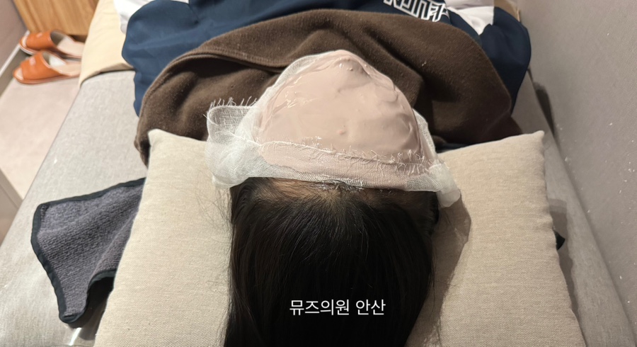 뮤즈의원 이미지