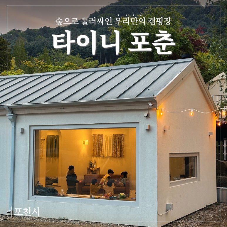 타이니포춘 이미지