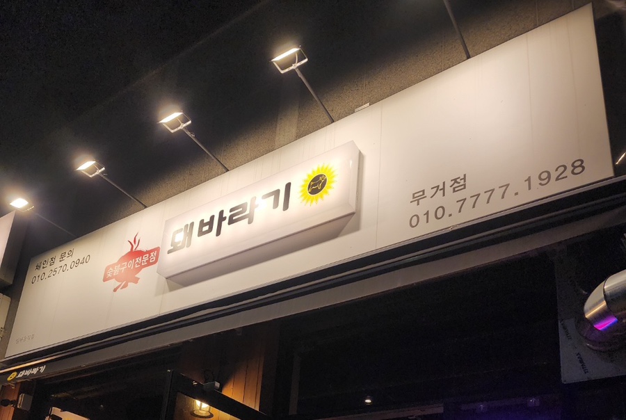 돼바라기무거점 이미지