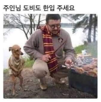 시스터문 이미지