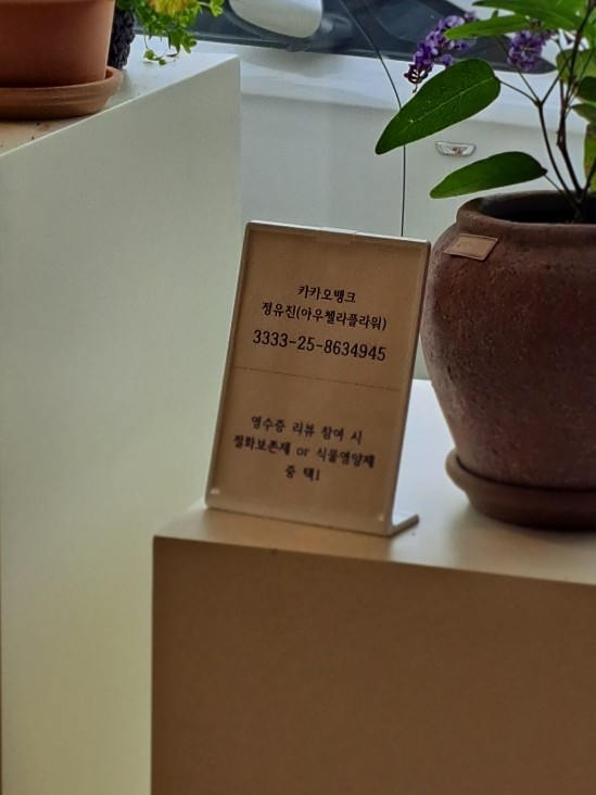 아우첼라플라워 이미지