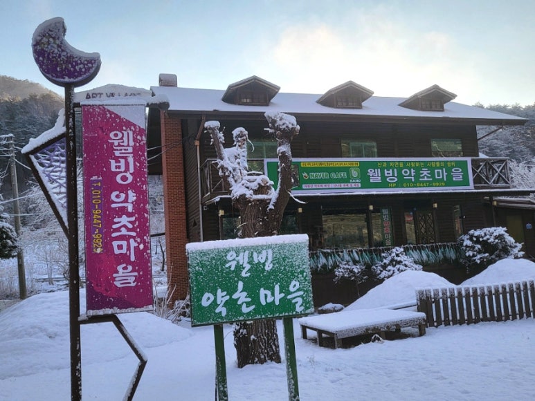 웰빙약초마을 이미지