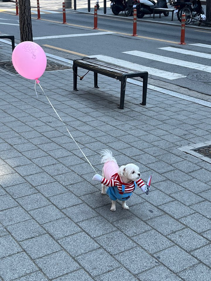 특별한호두와플 이미지