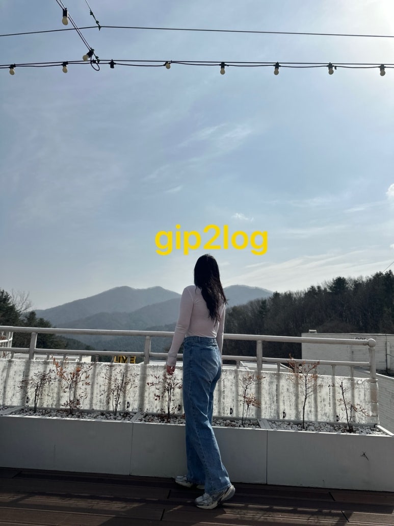 오버더지니 이미지