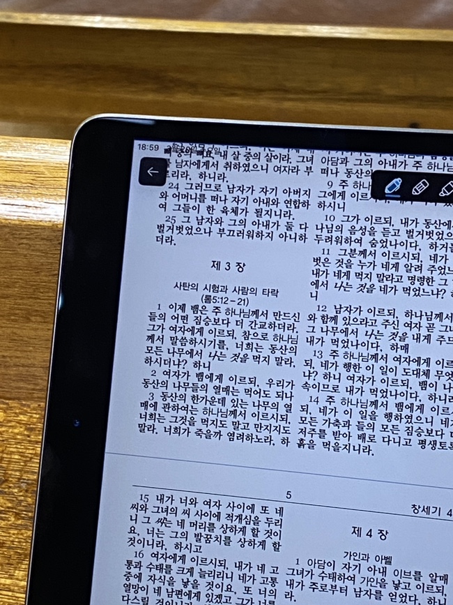 가디뉴 이미지
