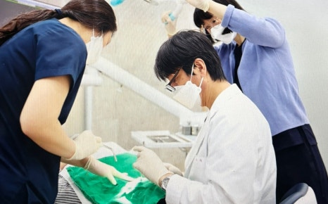 김용철치과 이미지