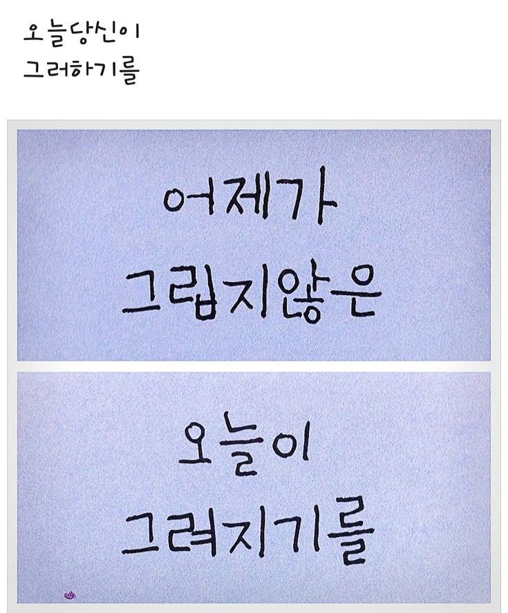 플렉스펜션 이미지