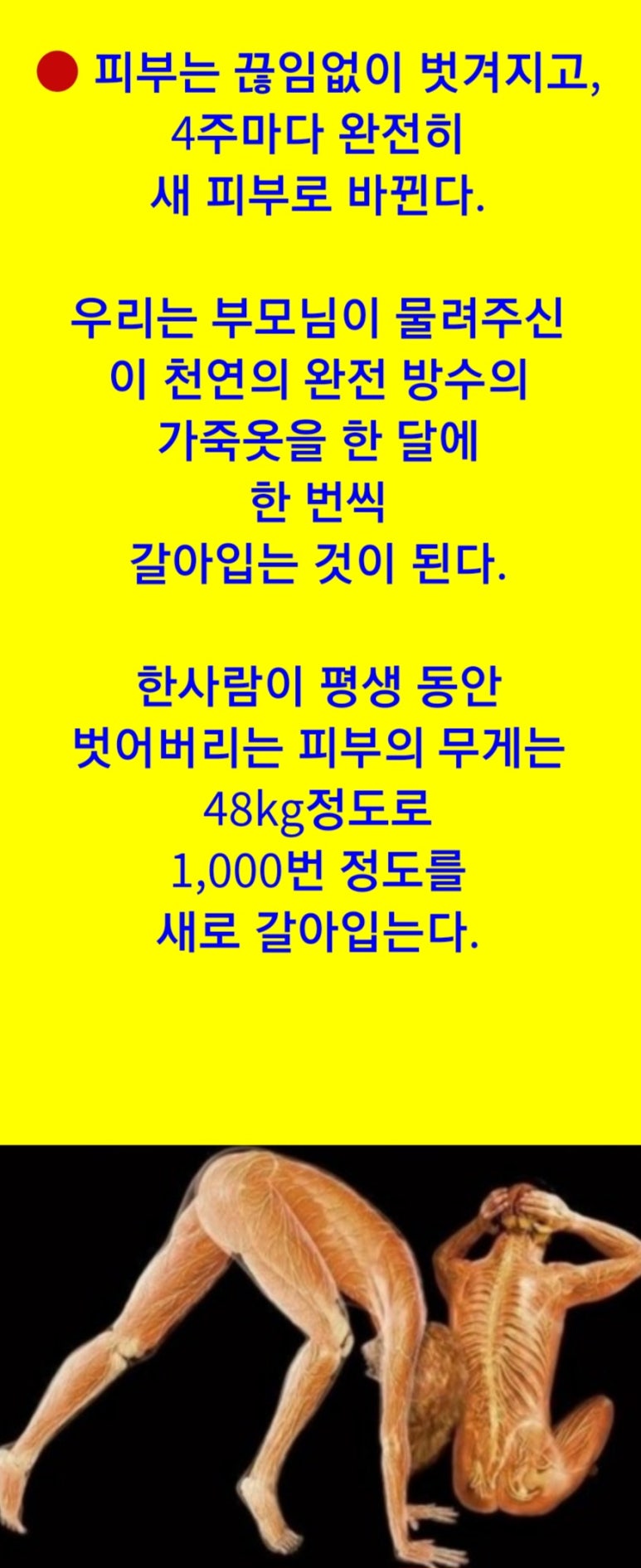 (주)본초바이오 이미지
