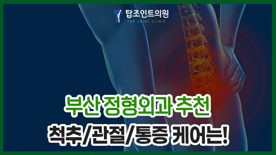 탑조인트의원 이미지