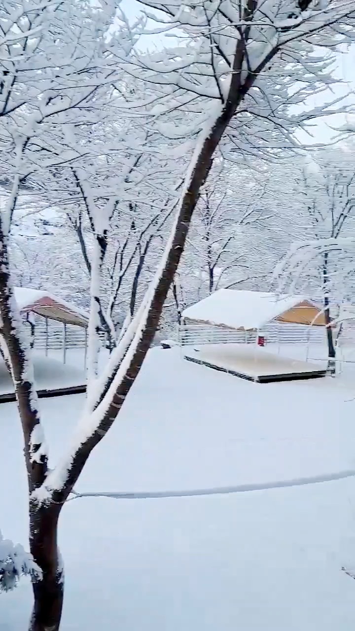 늘편한캠핑장 이미지
