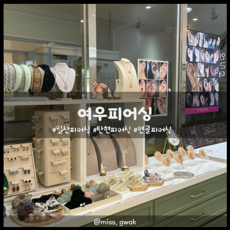여우피어싱 이미지