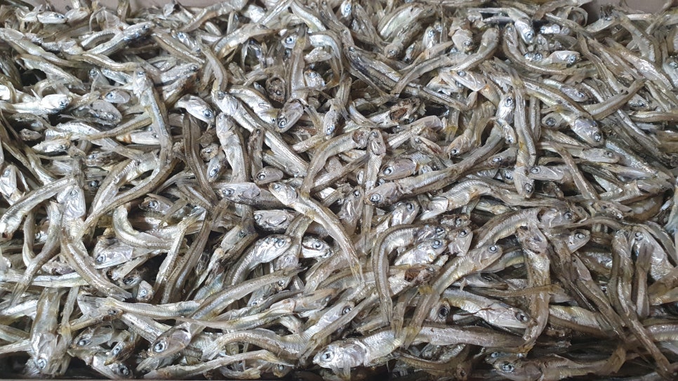 거제저도건어물 이미지