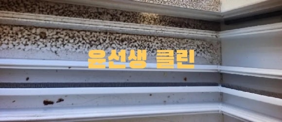 윤선생클린 이미지