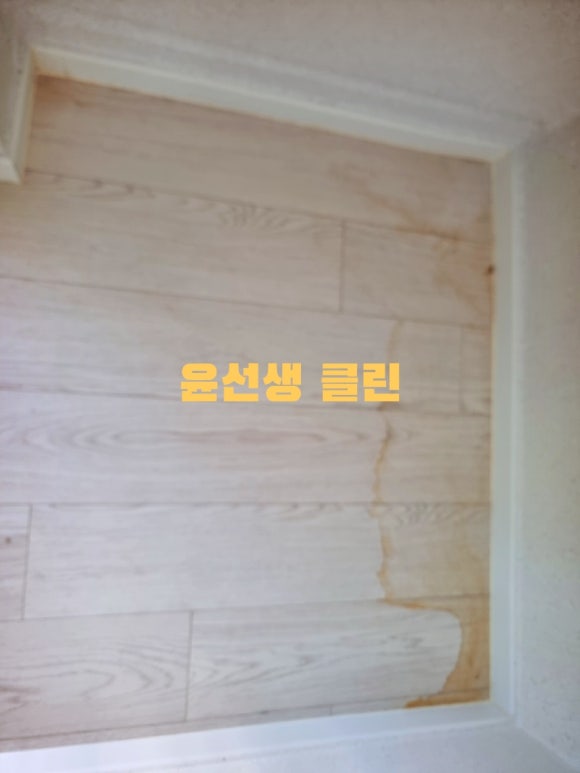 윤선생클린 이미지