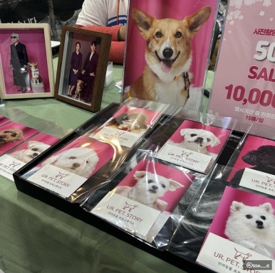 유어펫스토리 이미지