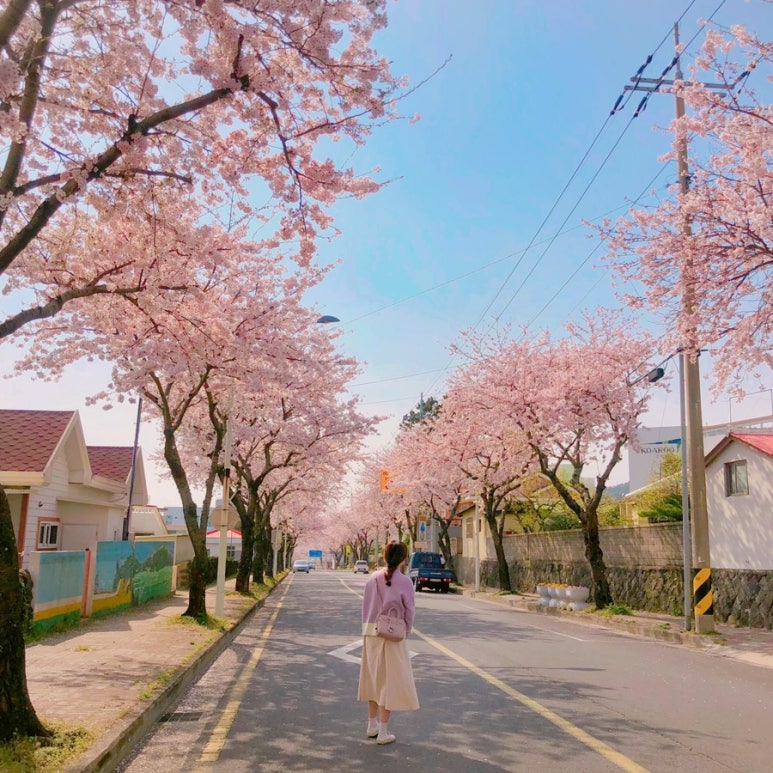 대성이용원 이미지