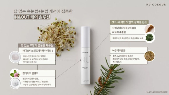 래쉬브로우 이미지