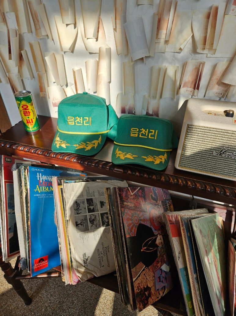읍천리382시흥 이미지