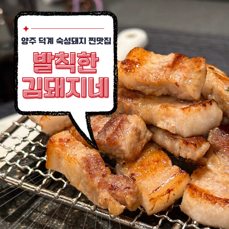 발칙한김돼지네 이미지