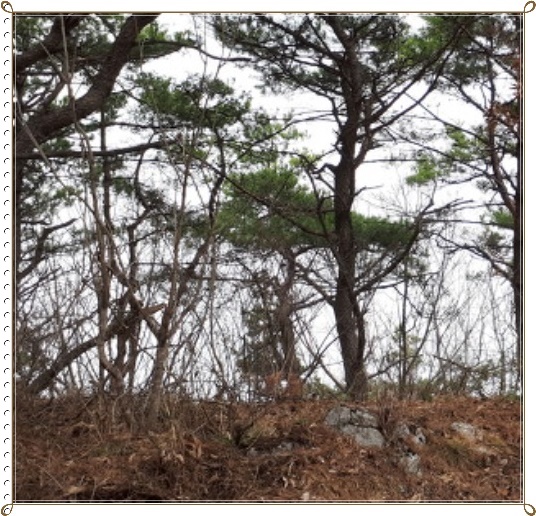 사일산 이미지