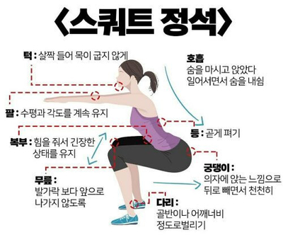 와이비 이미지