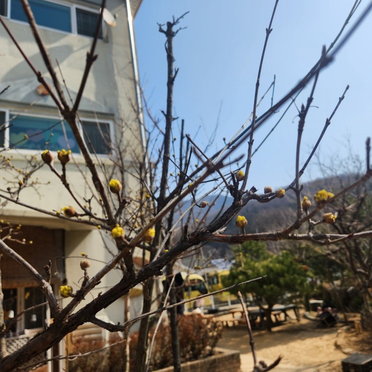 세움어린이집 이미지