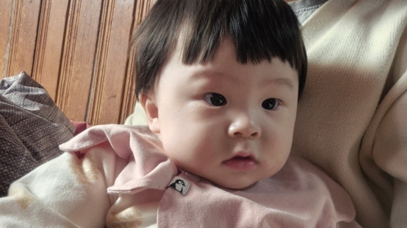베이비또율 이미지