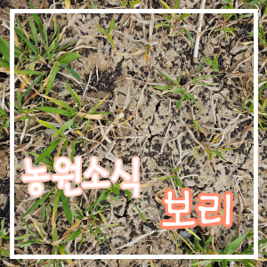농원유기질퇴비 이미지