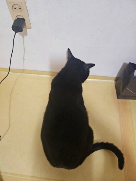 원곡팥칼국수 이미지