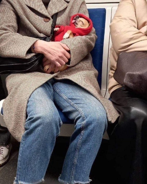 샐러브리 이미지