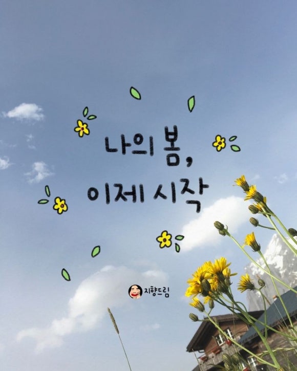 카라뷰티에스테틱 이미지