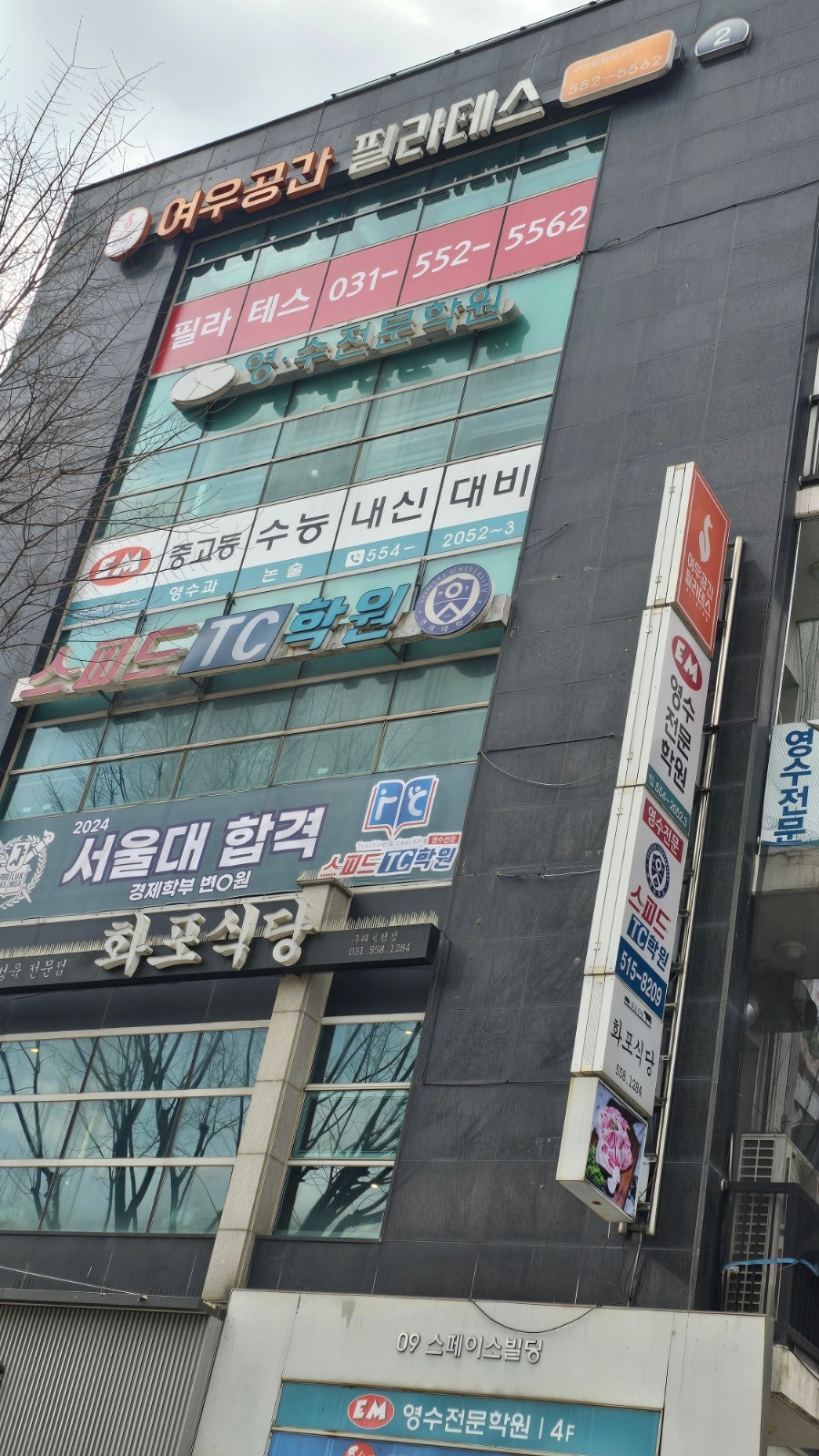 여우깍쟁이 이미지