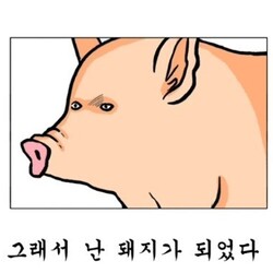 두부먹고곱창먹고 이미지