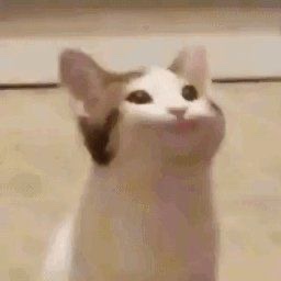 소금곳간 이미지