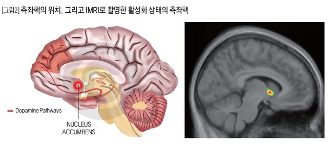 플라시보 이미지