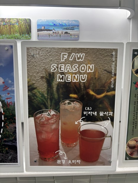 돔박;달 이미지