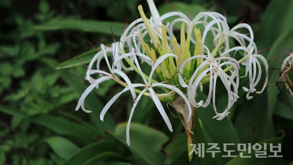 문주화랑 이미지