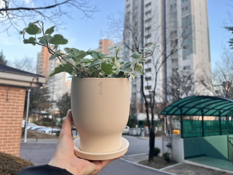 마요앤플라워 이미지