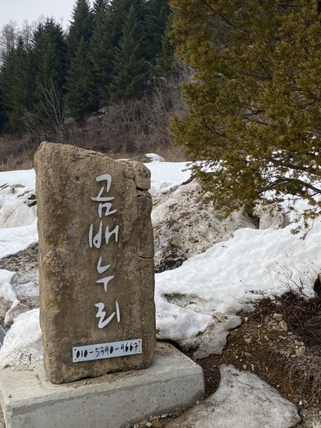 곰배누리펜션 이미지