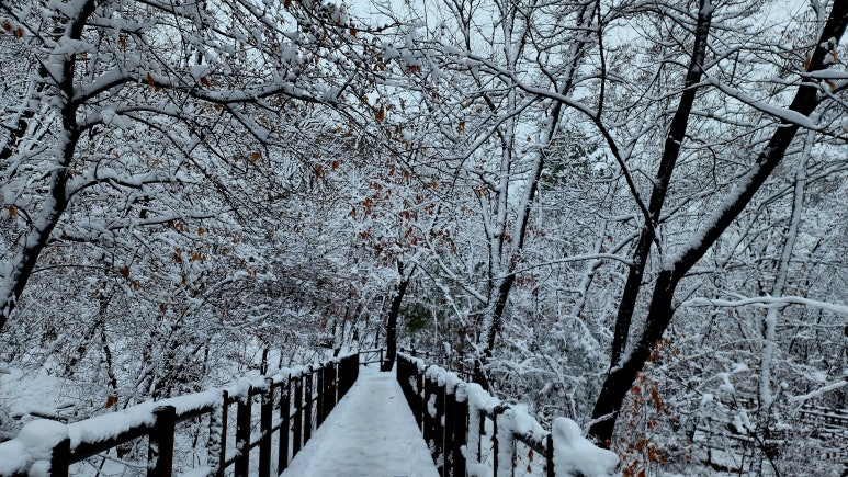 산너머옛집 이미지