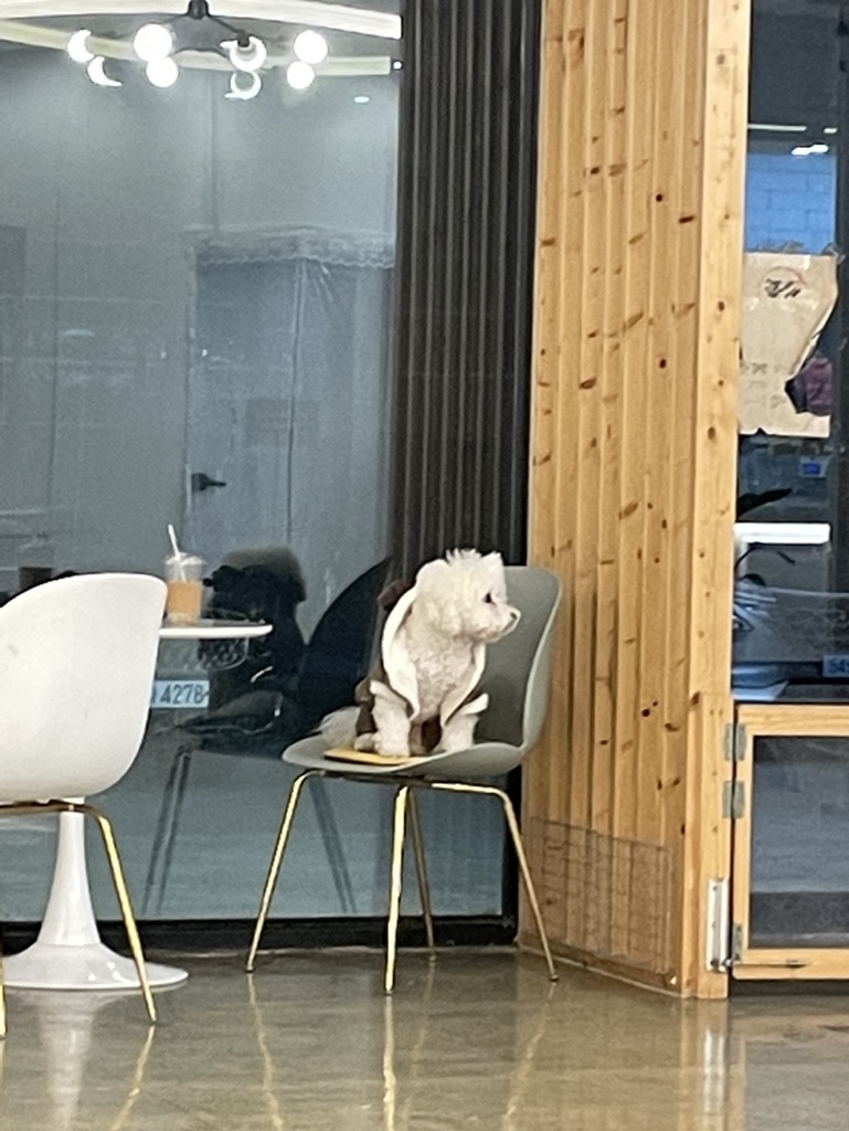 리얼안심탕수육구미점 이미지
