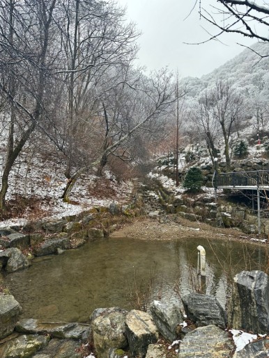 알프스캠핑 이미지
