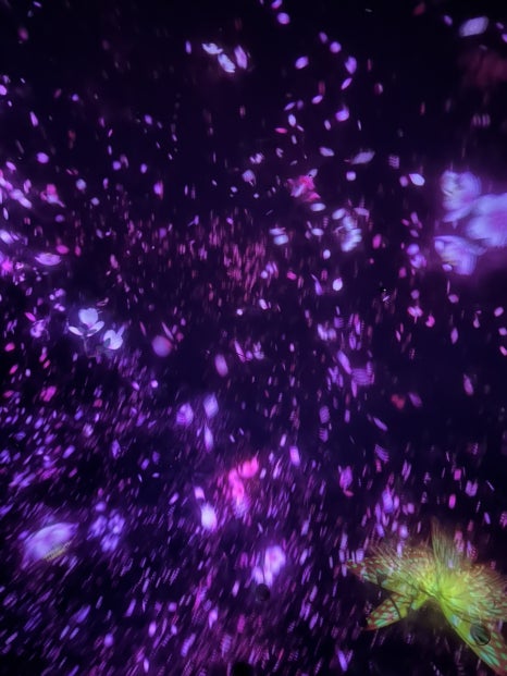 랩Flowers 이미지