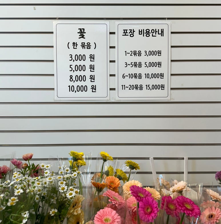 쁘렝땅플레르 이미지