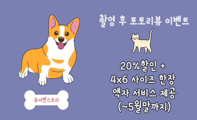 유어펫스토리 이미지